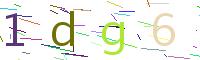 Verify Code