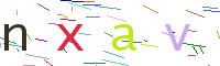 Verify Code