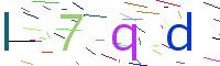 Verify Code