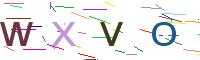 Verify Code