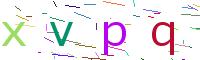 Verify Code