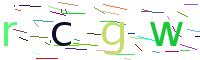 Verify Code