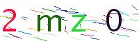 Verify Code