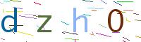Verify Code