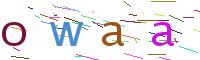 Verify Code