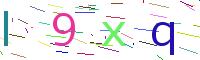 Verify Code