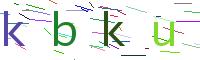Verify Code