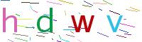 Verify Code