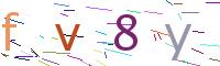 Verify Code