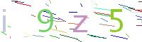 Verify Code